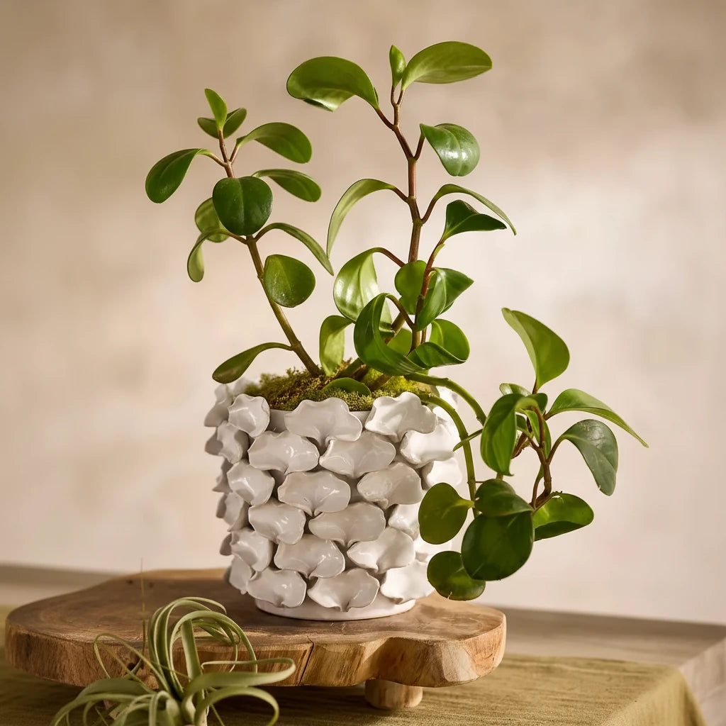 Petal Appliqué Ceramic Pot